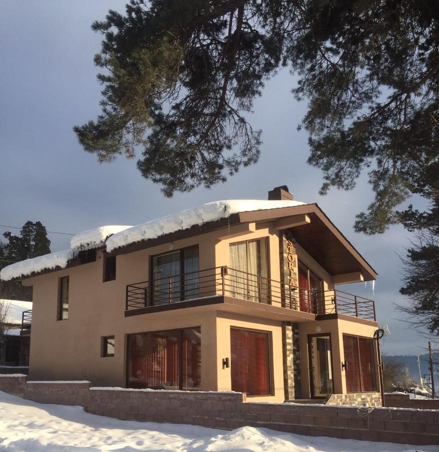 Villa Astoria Бакуриани Екстериор снимка